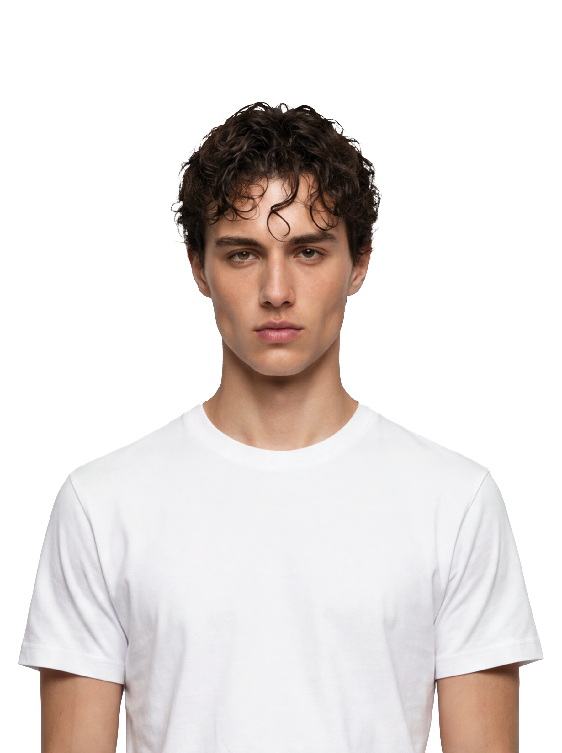 Harris virtual model
