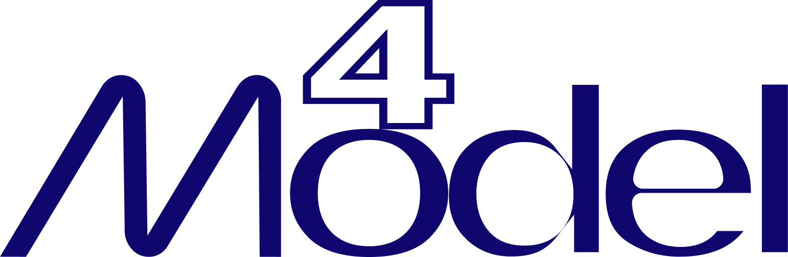 4 Model