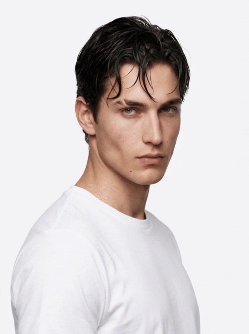 Desmond, virtual talent portrait